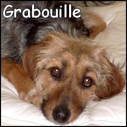 Grabouille