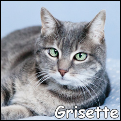 grisette-1.jpg