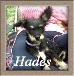 Hades