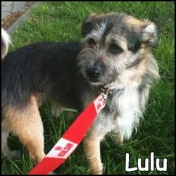 Lulu