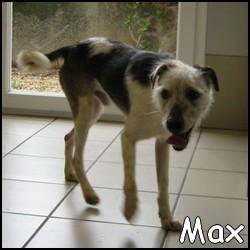 Max