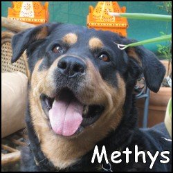 Methys