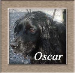 Oscar