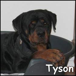 Tyson