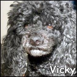 Vicky